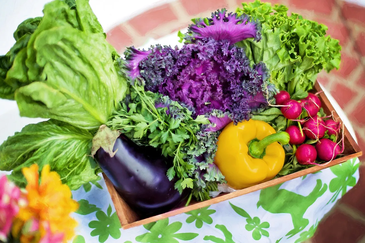 Role of Nutrition in Managing Chronic Diseases