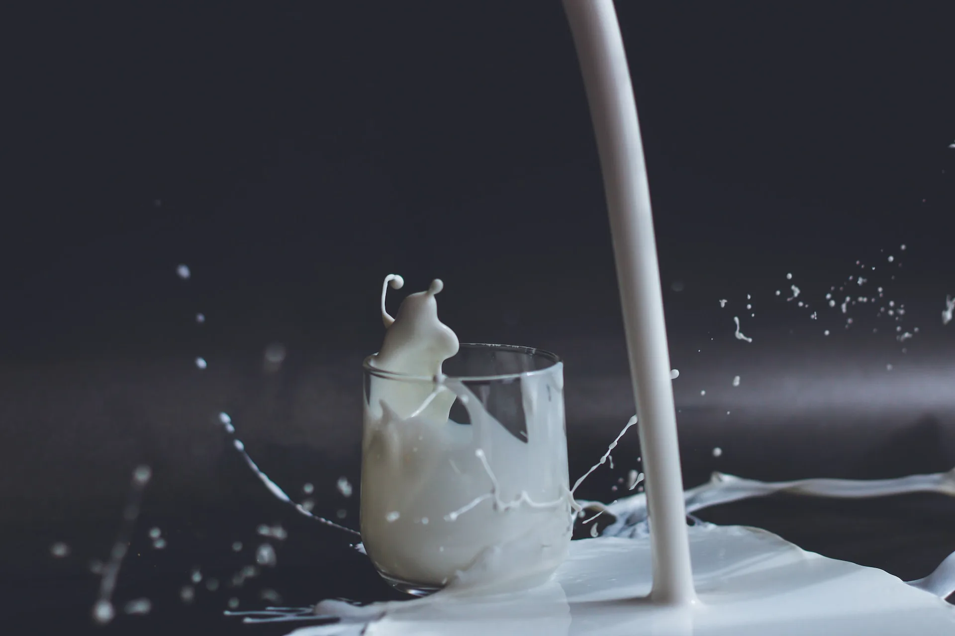 Discovering the Melodies of Animal Milk